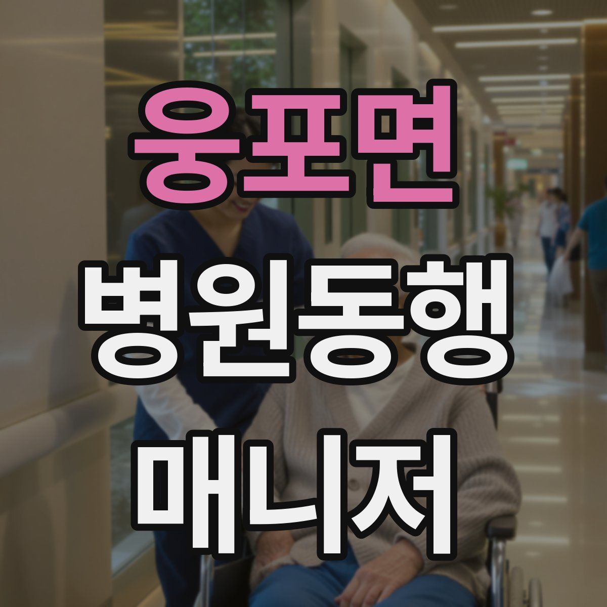 웅포면 병원동행매니저 자격증