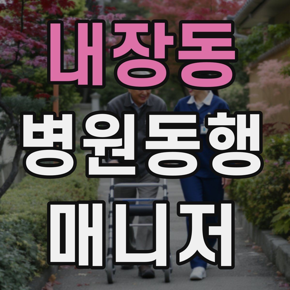 내장동 병원동행매니저 자격증 의료행위와 구분해야 하는 이유