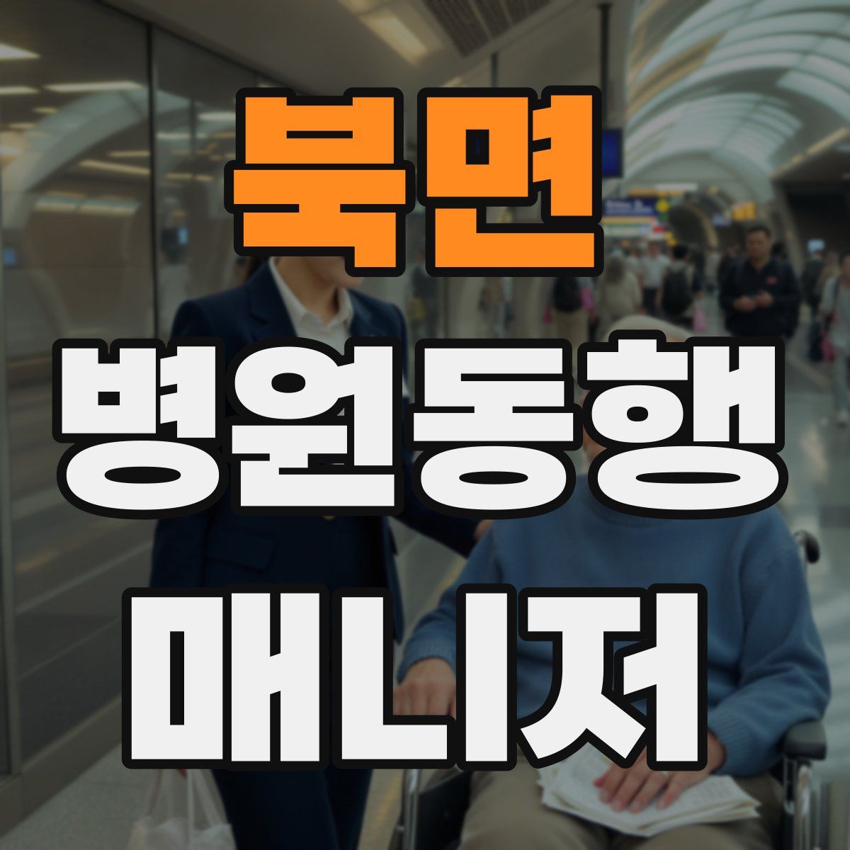 북면 병원동행매니저 자격증