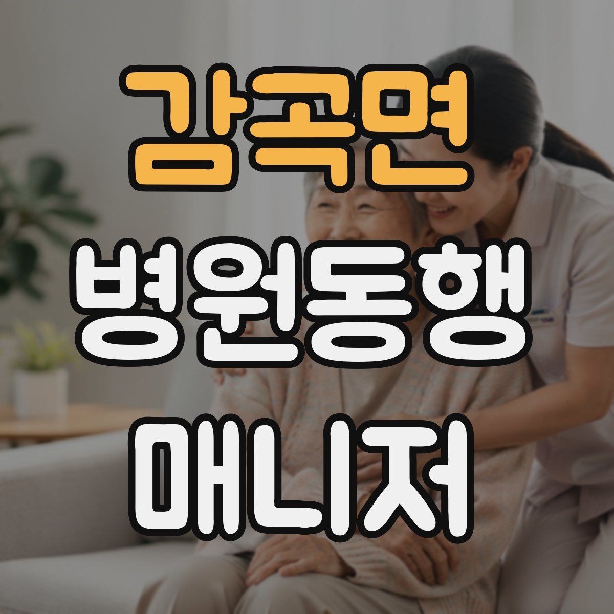 감곡면 병원동행매니저 자격증