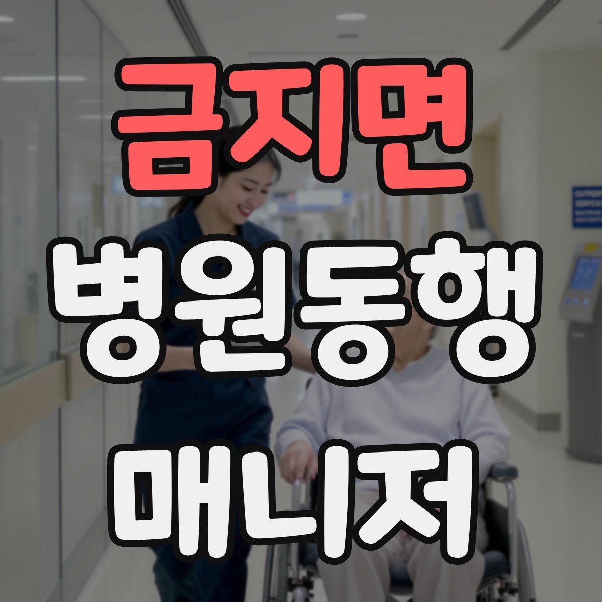 금지면 병원동행매니저 자격증