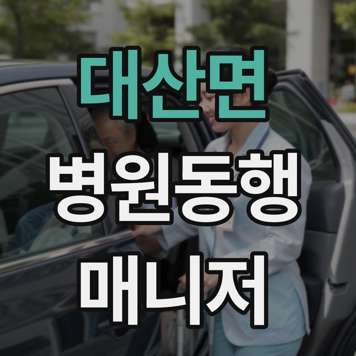 대산면 병원동행매니저 자격증