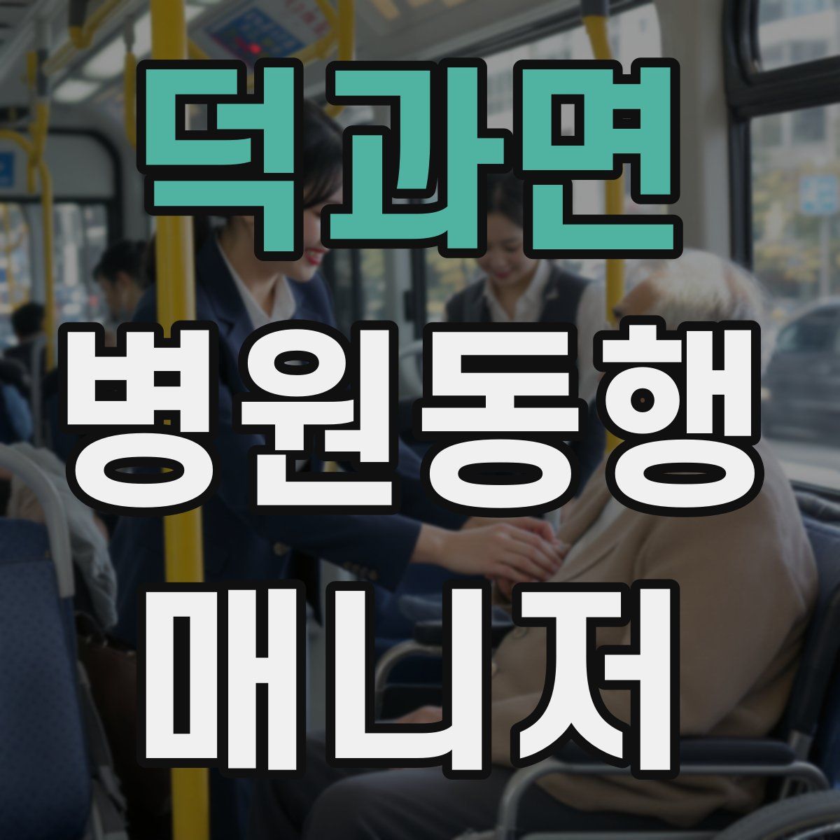 덕과면 병원동행매니저 자격증