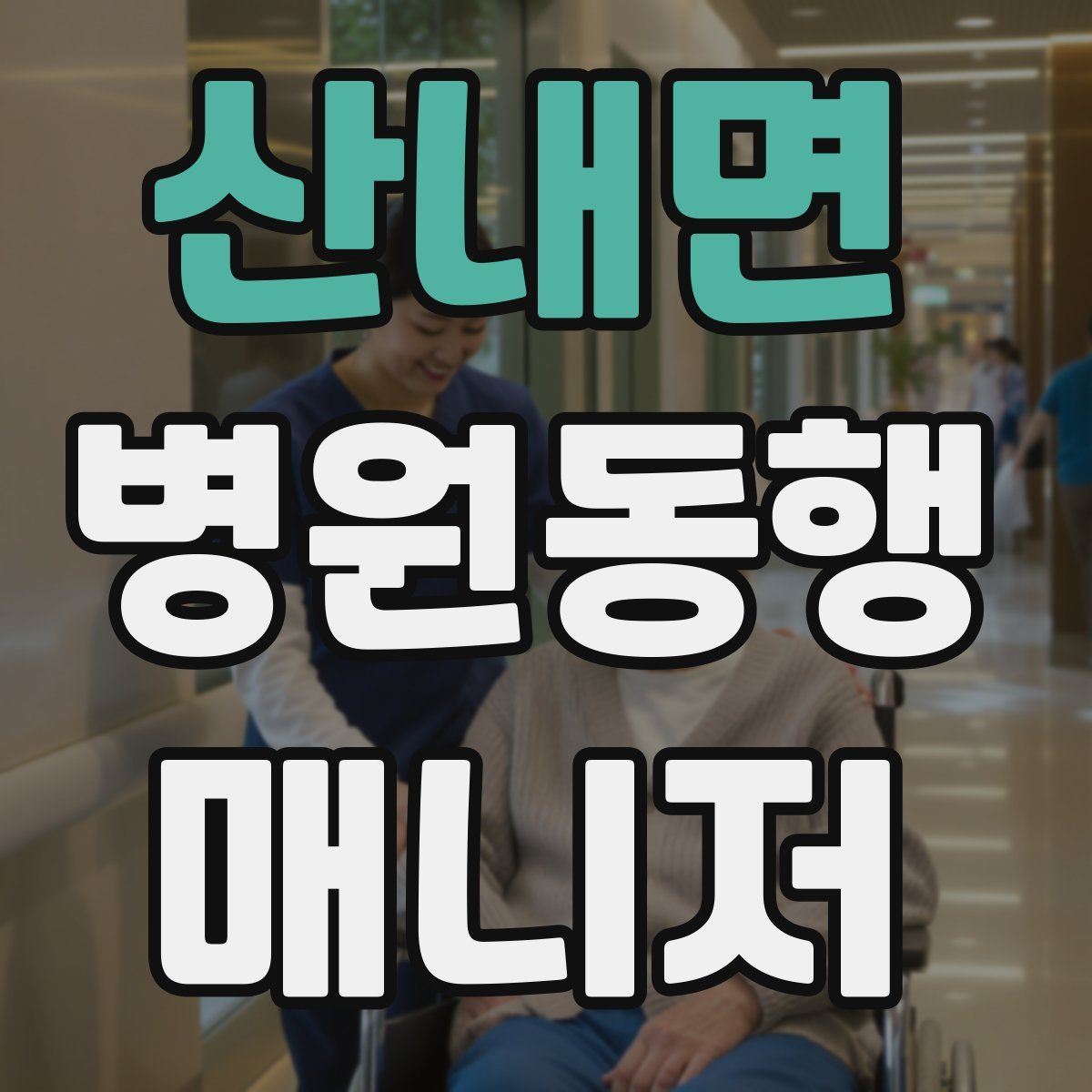 산내면 병원동행매니저 자격증