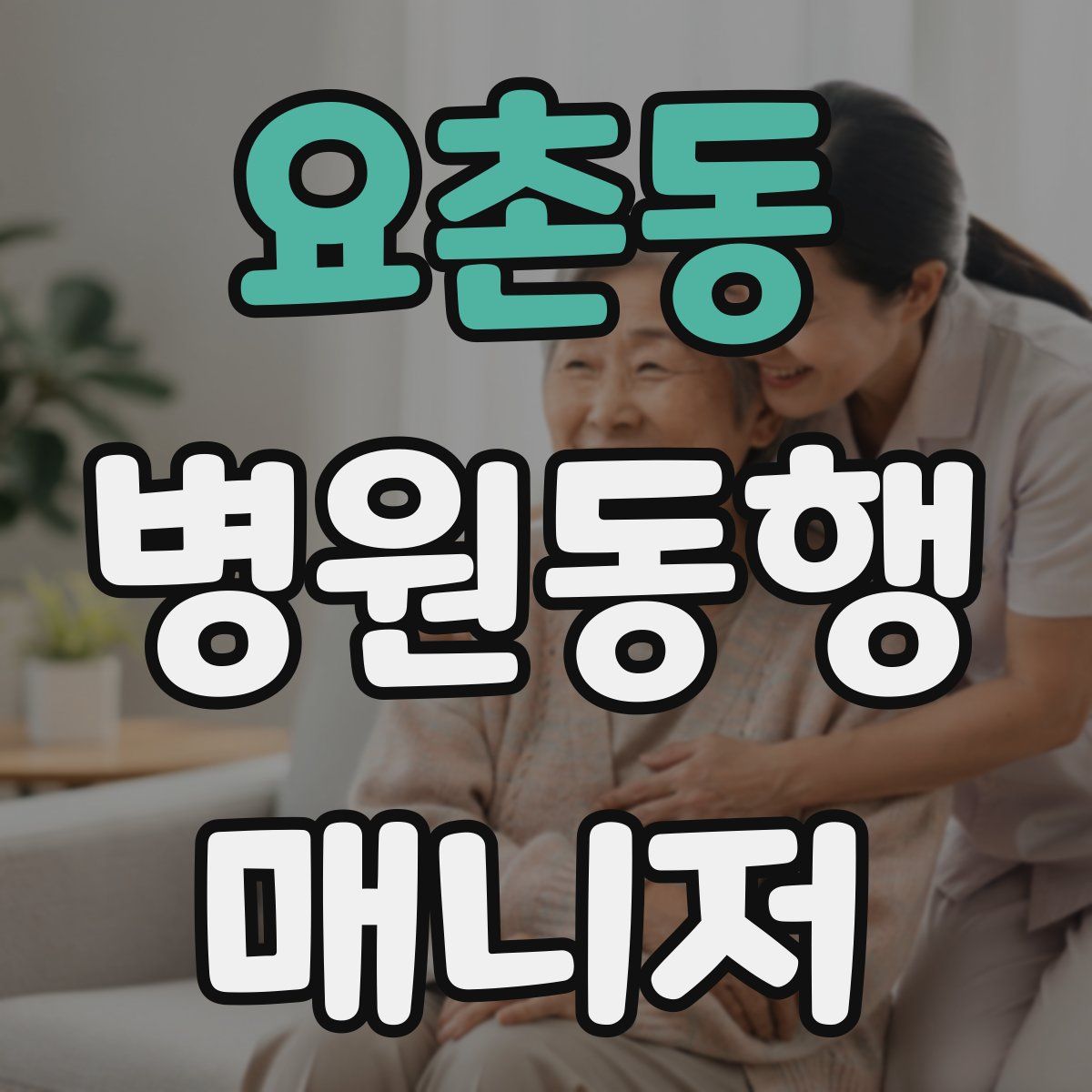 요촌동 병원동행매니저 자격증