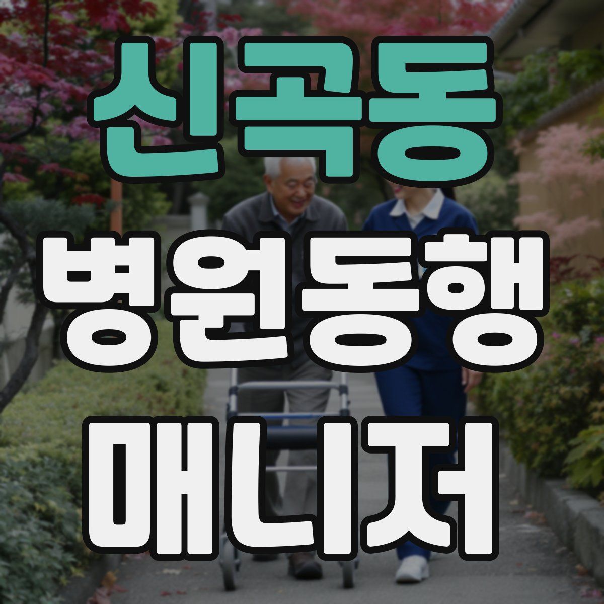 신곡동 병원동행매니저 자격증