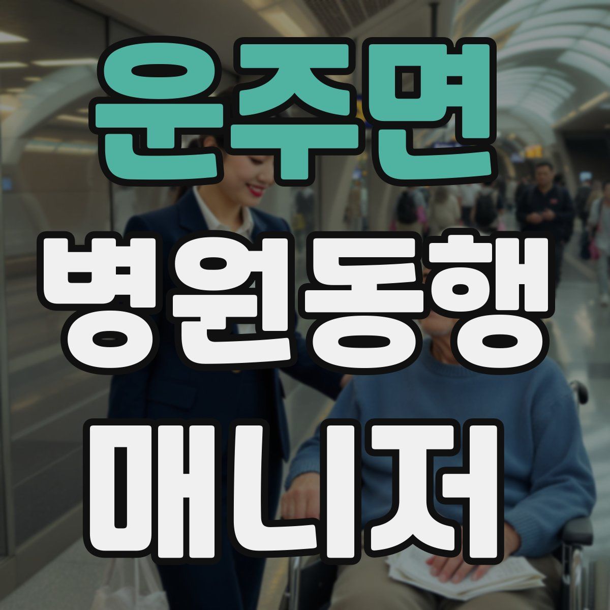 운주면 병원동행매니저 자격증