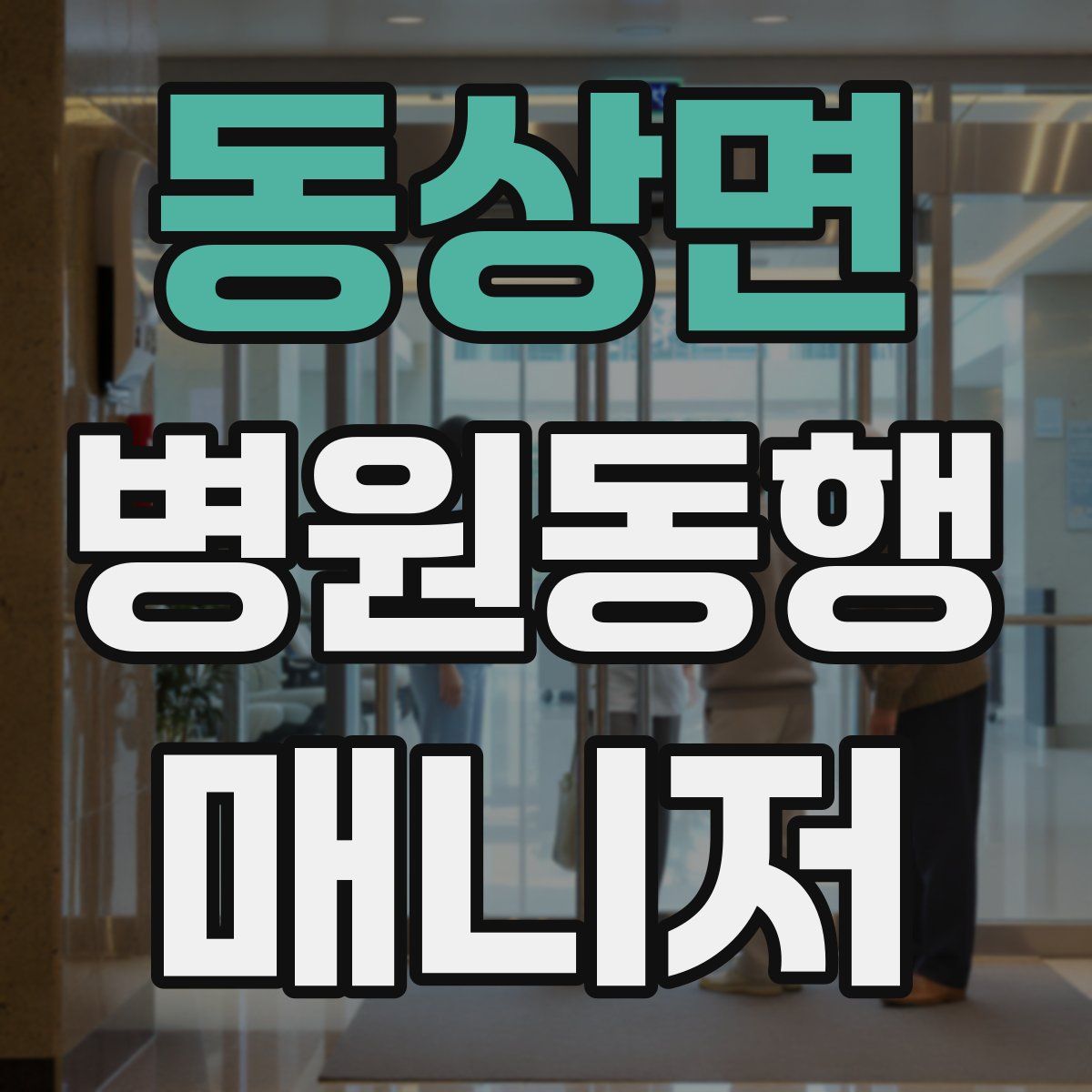 동상면 병원동행매니저 자격증