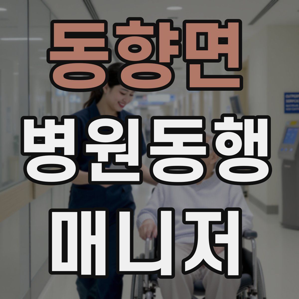 동향면 병원동행매니저 자격증