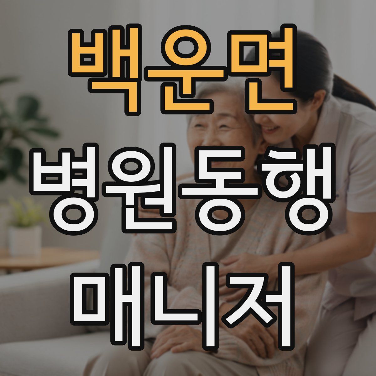 백운면 병원동행매니저 자격증