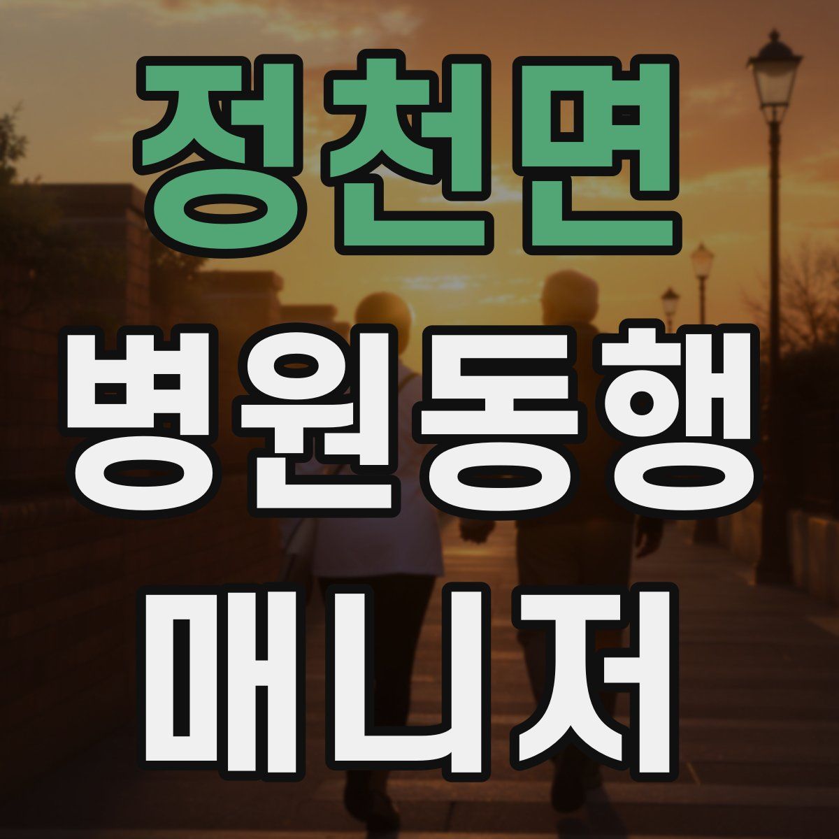 정천면 병원동행매니저 자격증