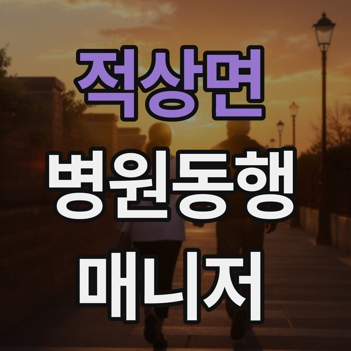 적상면 병원동행매니저 자격증