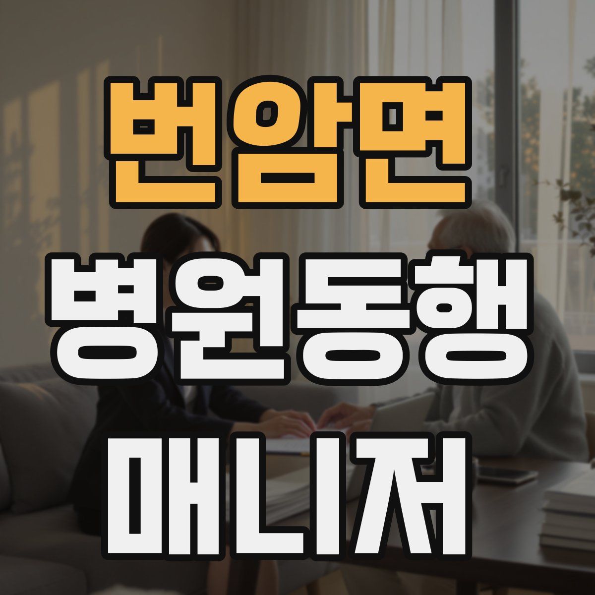 번암면 병원동행매니저 자격증