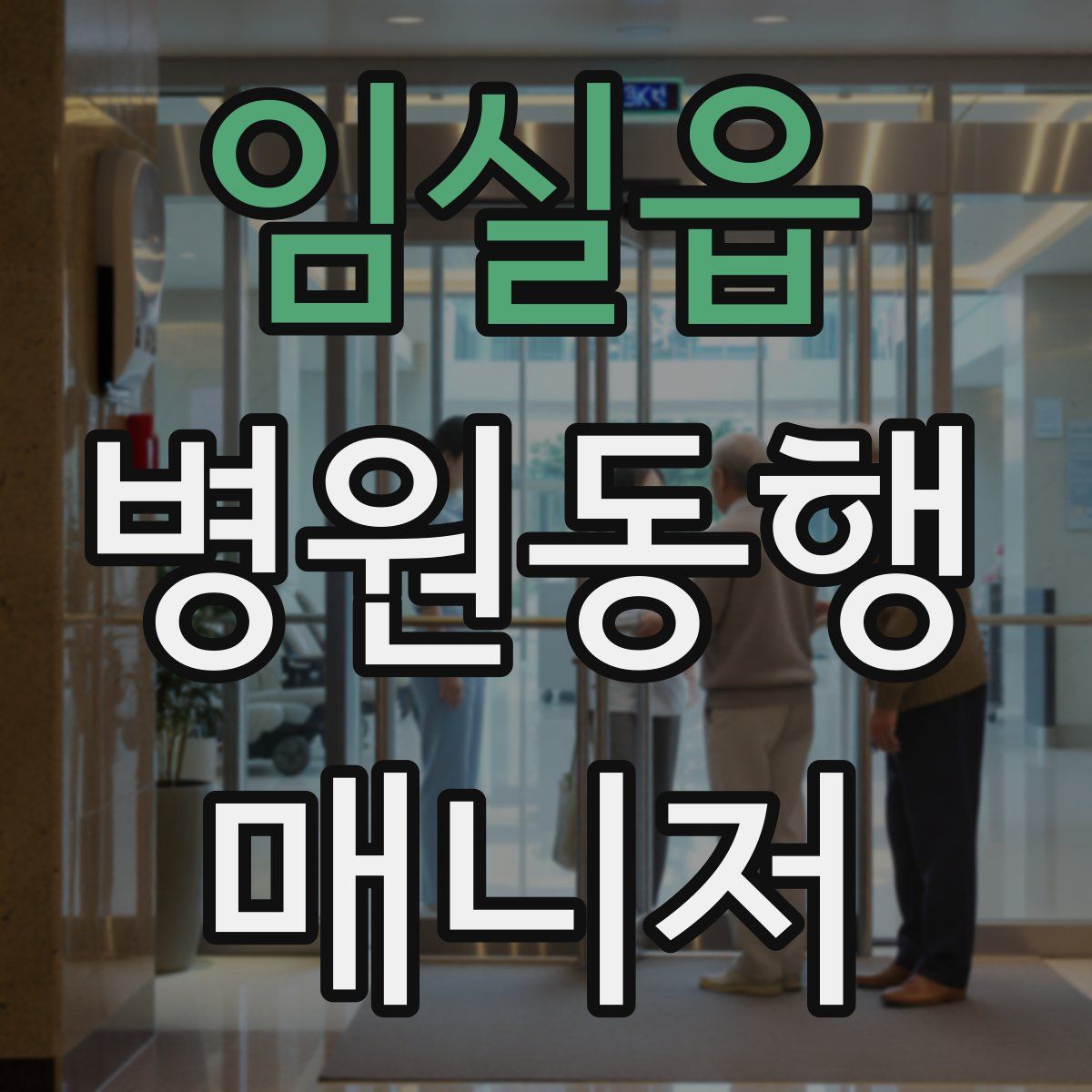 임실읍 병원동행매니저 자격증