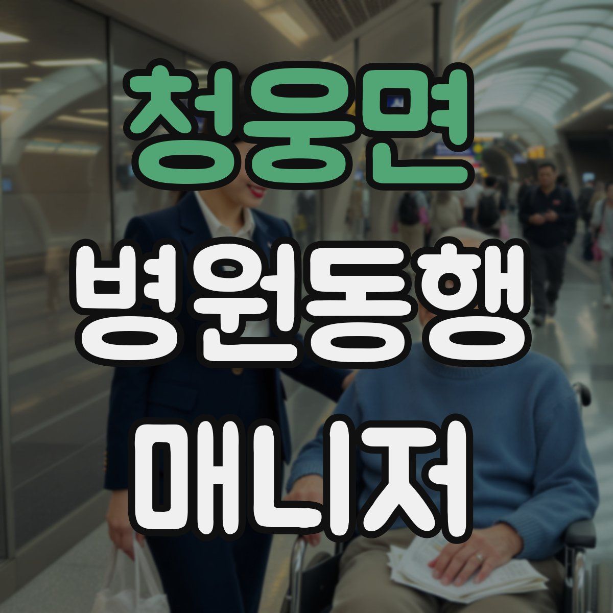 청웅면 병원동행매니저 자격증