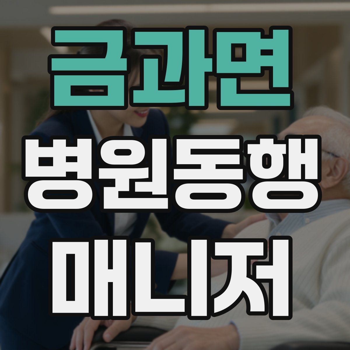 금과면 병원동행매니저 자격증