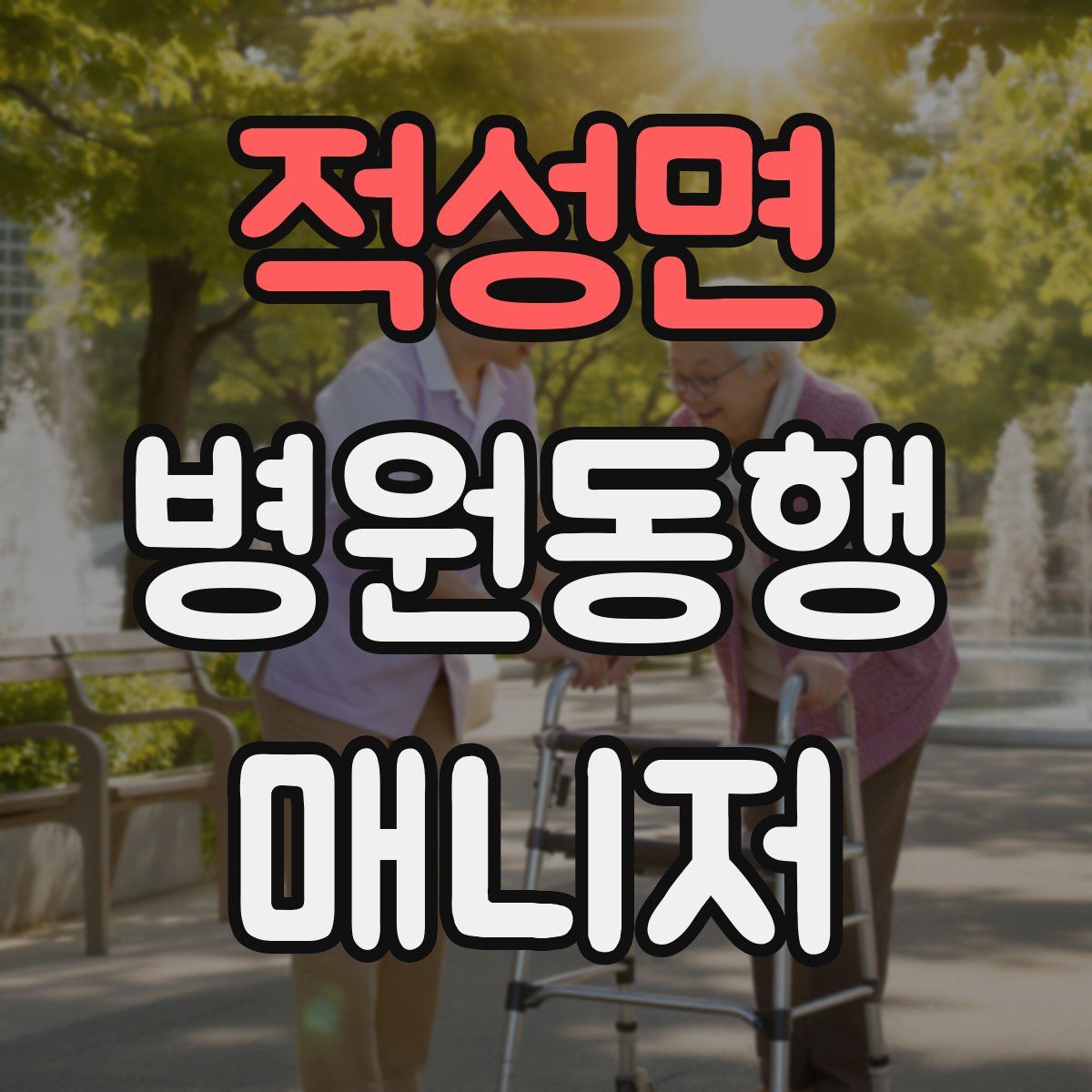 적성면 병원동행매니저 자격증