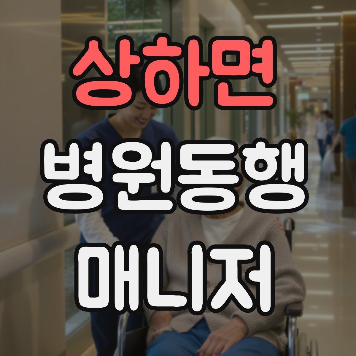 상하면 병원동행매니저 자격증 처음 시작하는 분이 꼭 챙길 포인트