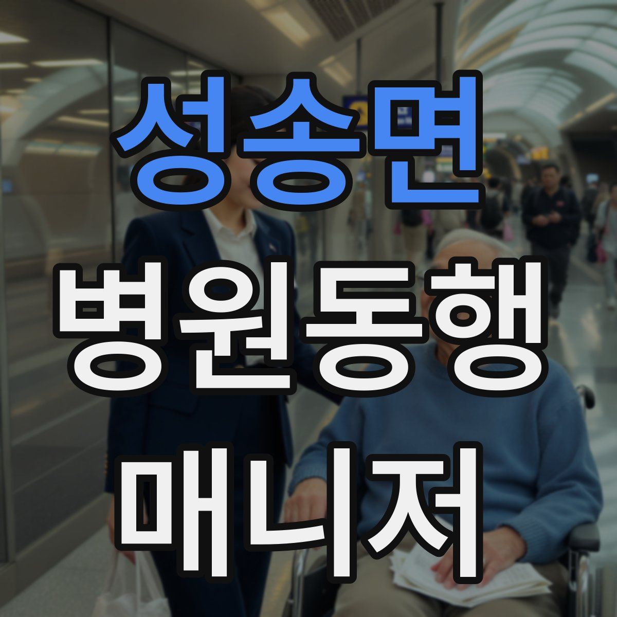 성송면 병원동행매니저 자격증