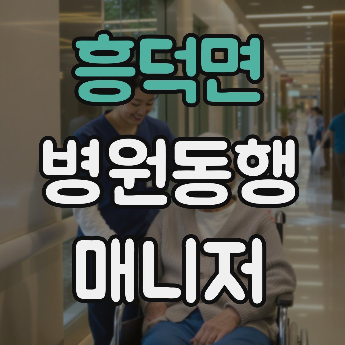 흥덕면 병원동행매니저 자격증 취득 후 활동을 시작하는 순서