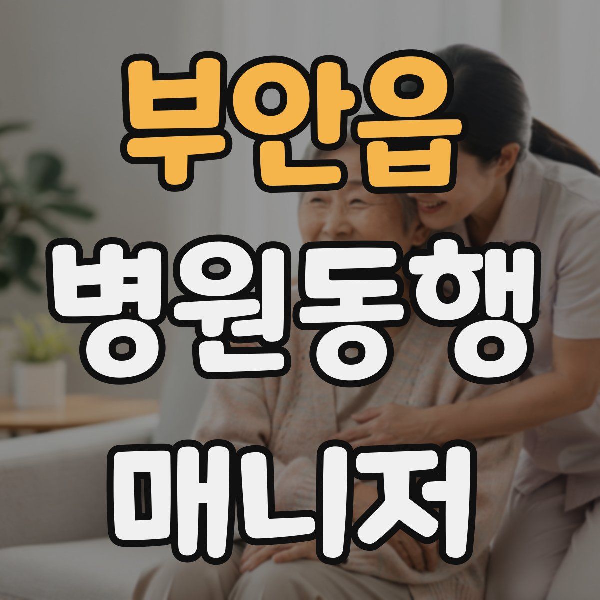 부안읍 병원동행매니저 자격증
