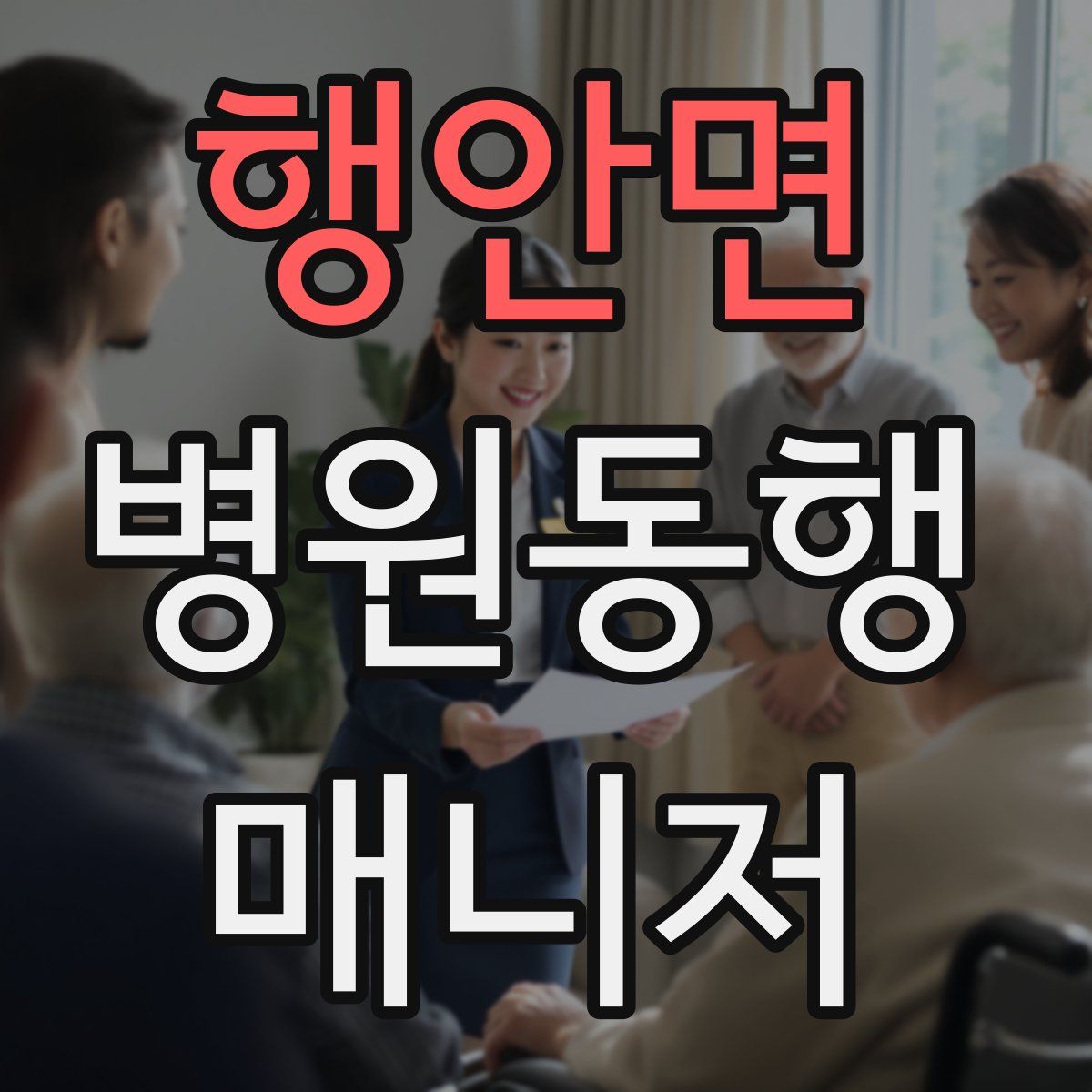 행안면 병원동행매니저 자격증