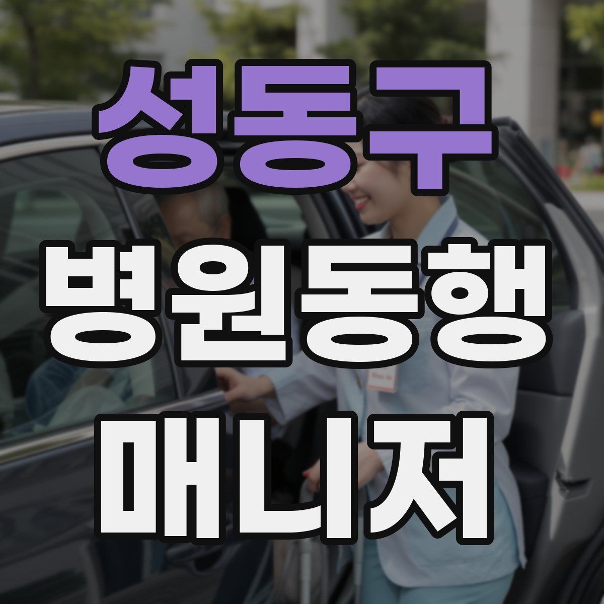 성동구 병원동행매니저 자격증 일정 확정 전 확인 질문 리스트