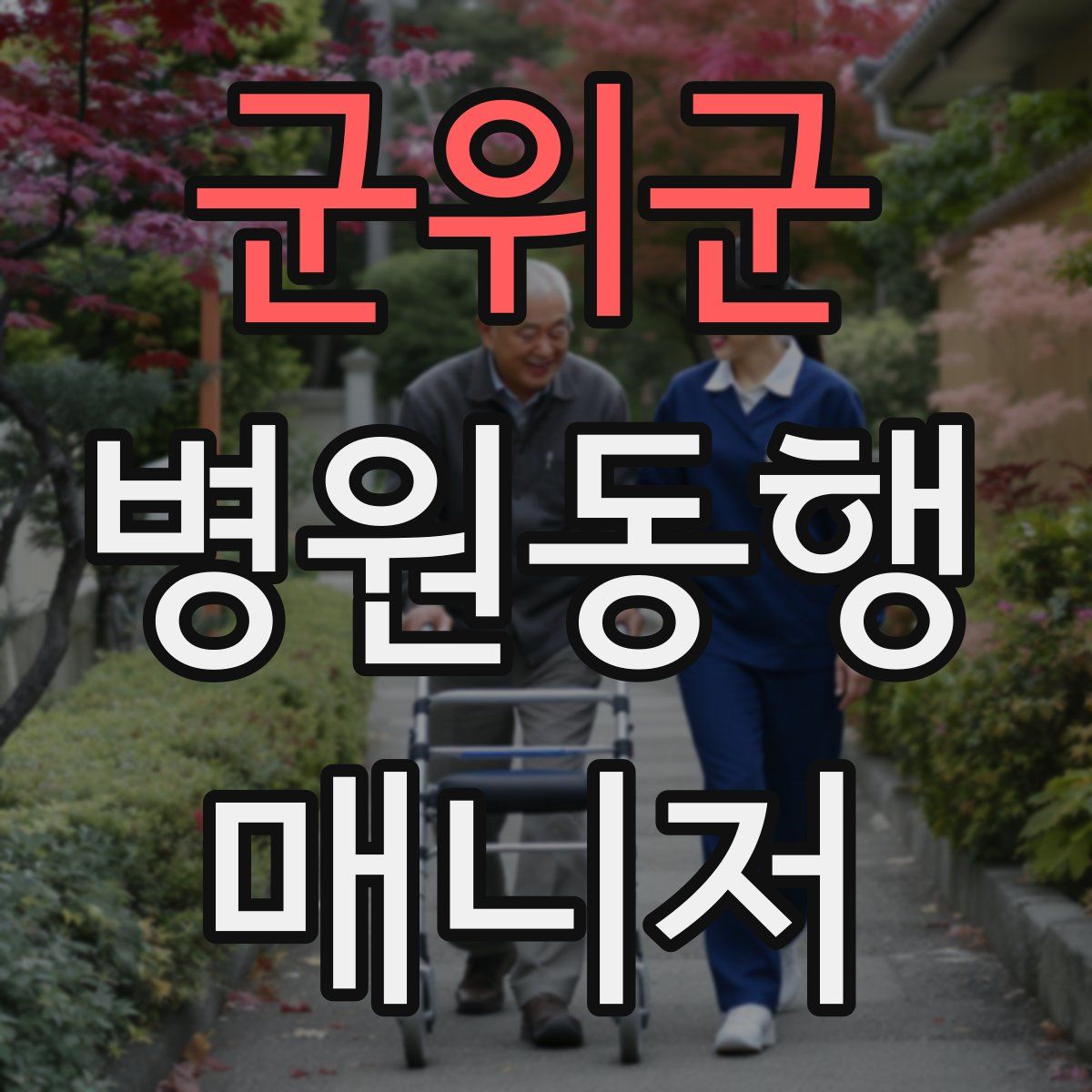 군위군 병원동행매니저 자격증