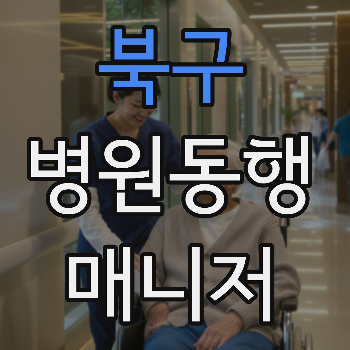 북구 병원동행매니저 자격증