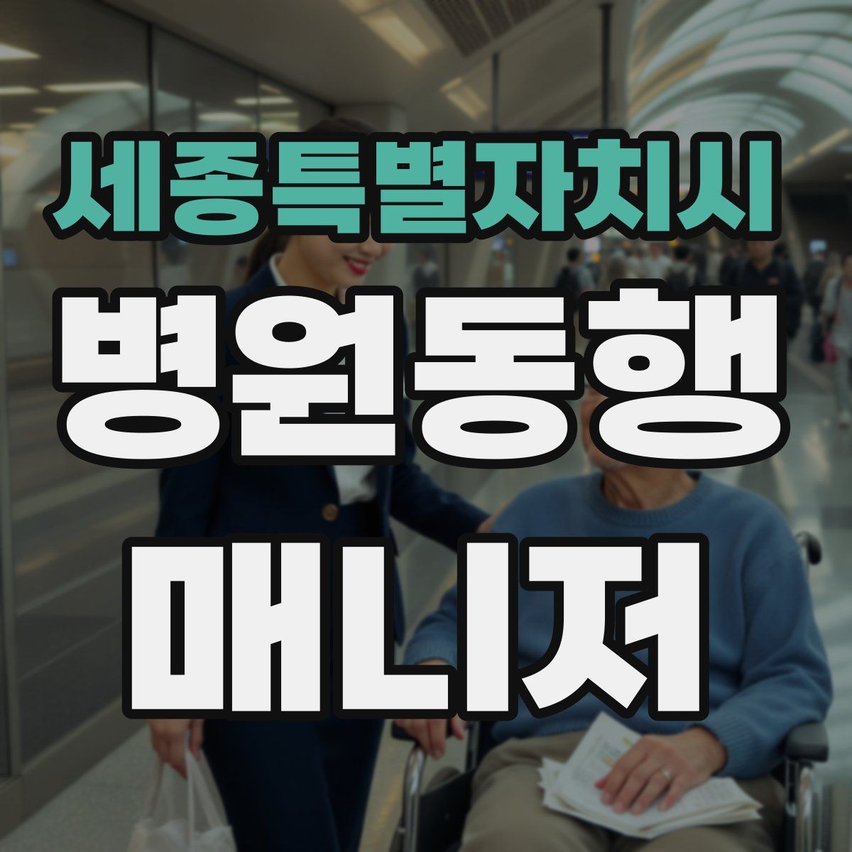 세종특별자치시 병원동행매니저 자격증