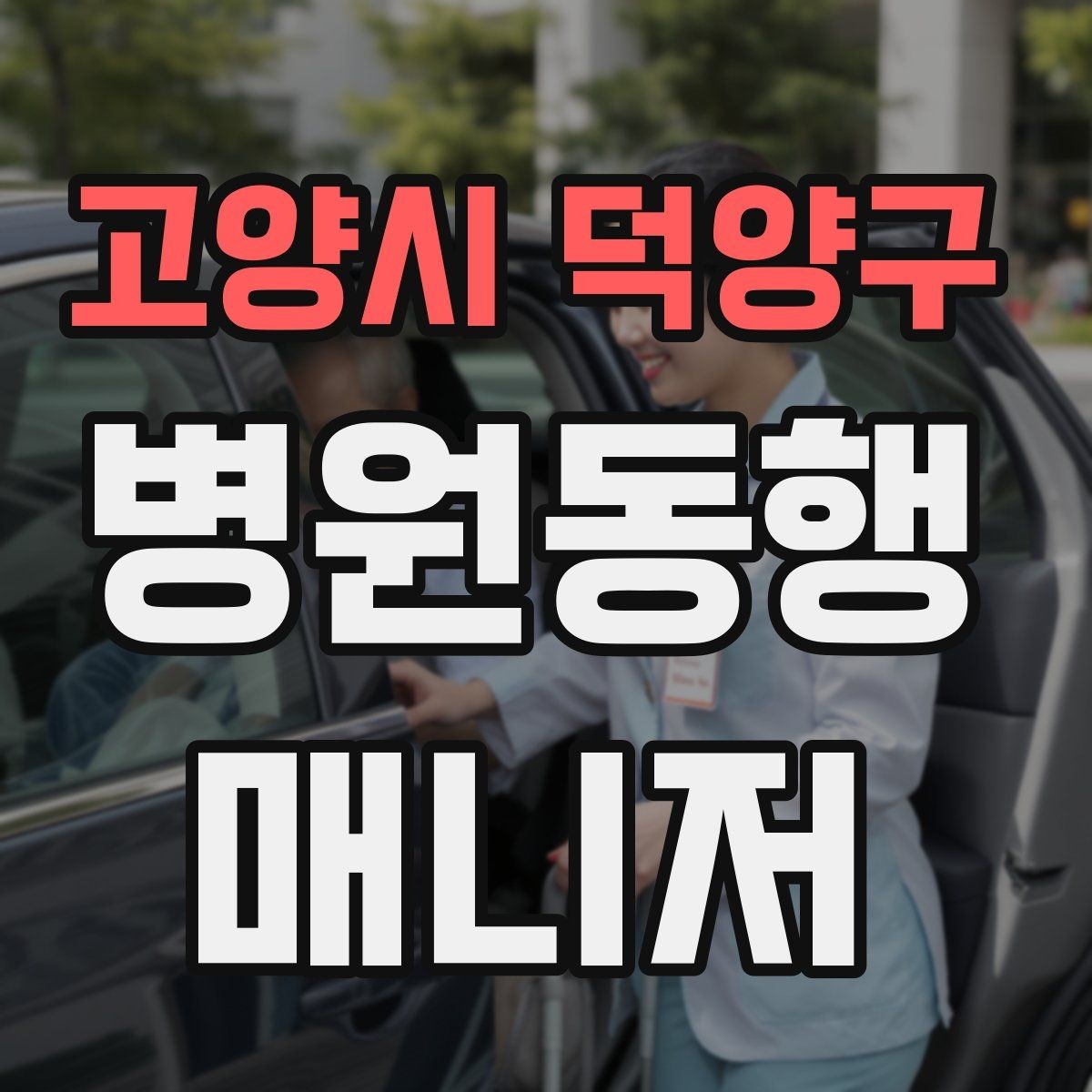 고양시 덕양구 병원동행매니저 자격증 택시 호출이 어려운 시간대 대처