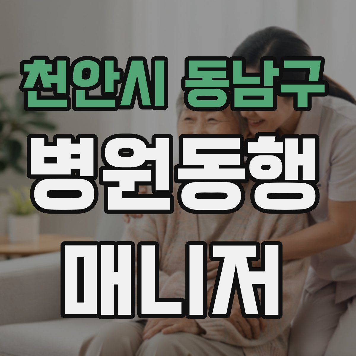 천안시 동남구 병원동행매니저 자격증