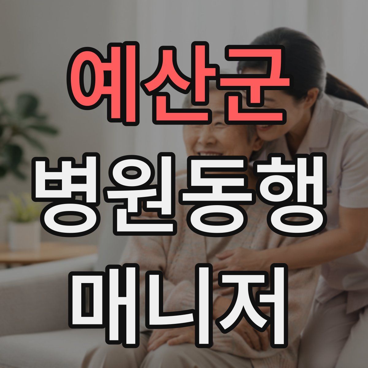 예산군 병원동행매니저 자격증