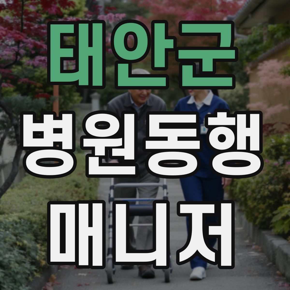 태안군 병원동행매니저 자격증