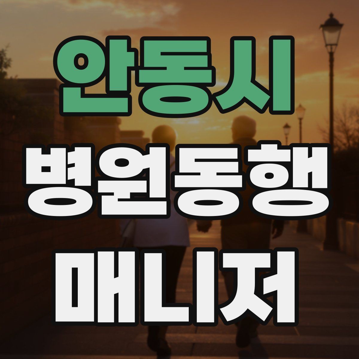 안동시 병원동행매니저 자격증 추가 시간 발생 시 안내 방법