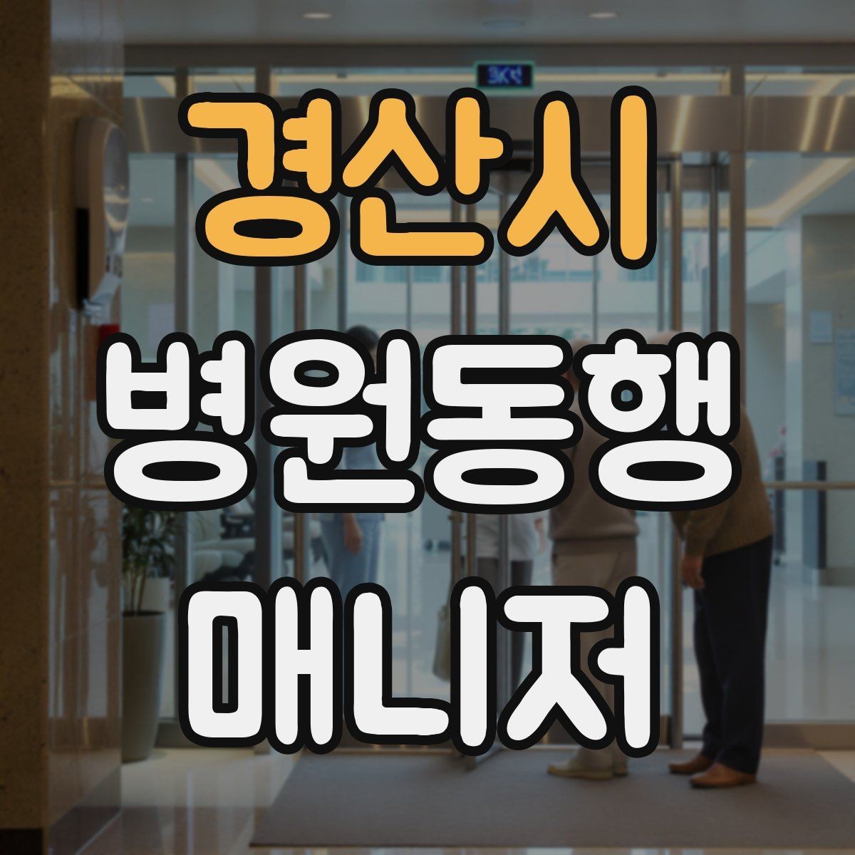 경산시 병원동행매니저 자격증 자주 나오는 개념을 빠르게 정리