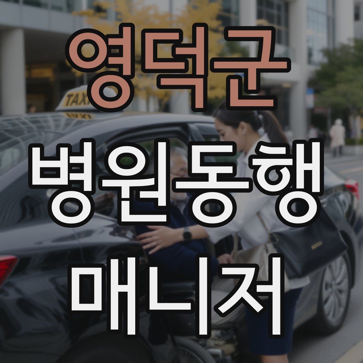 영덕군 병원동행매니저 자격증