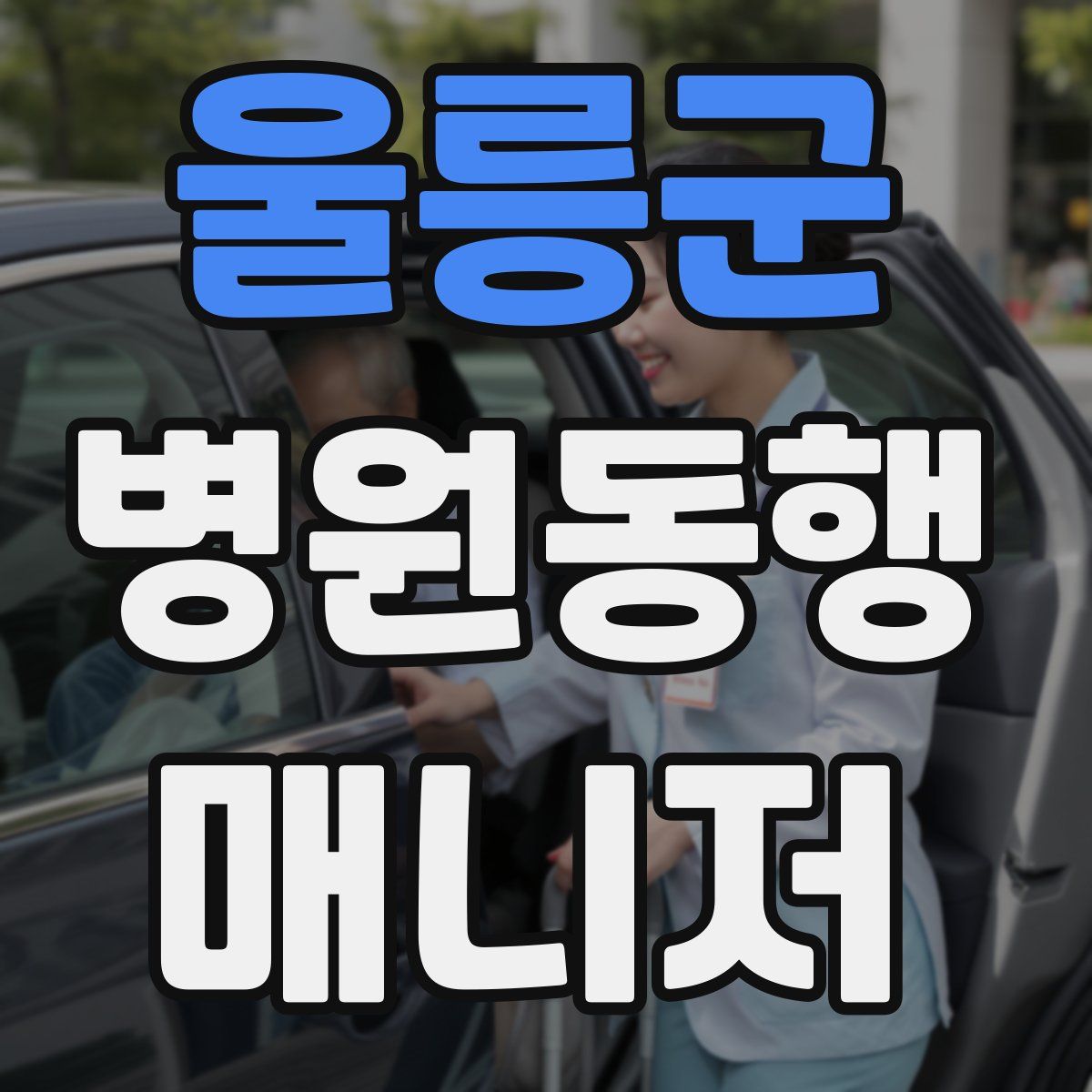 울릉군 병원동행매니저 자격증