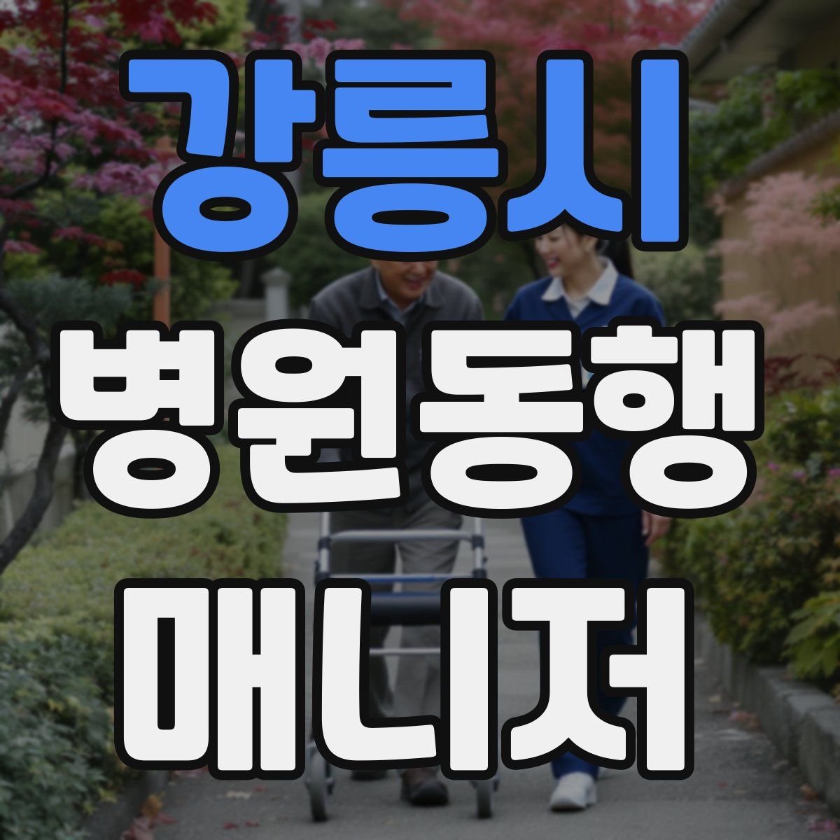 강릉시 병원동행매니저 자격증