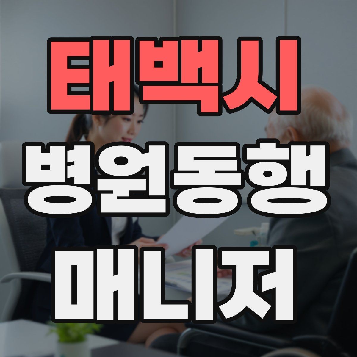 태백시 병원동행매니저 자격증 외래 진료 동행 흐름 정리