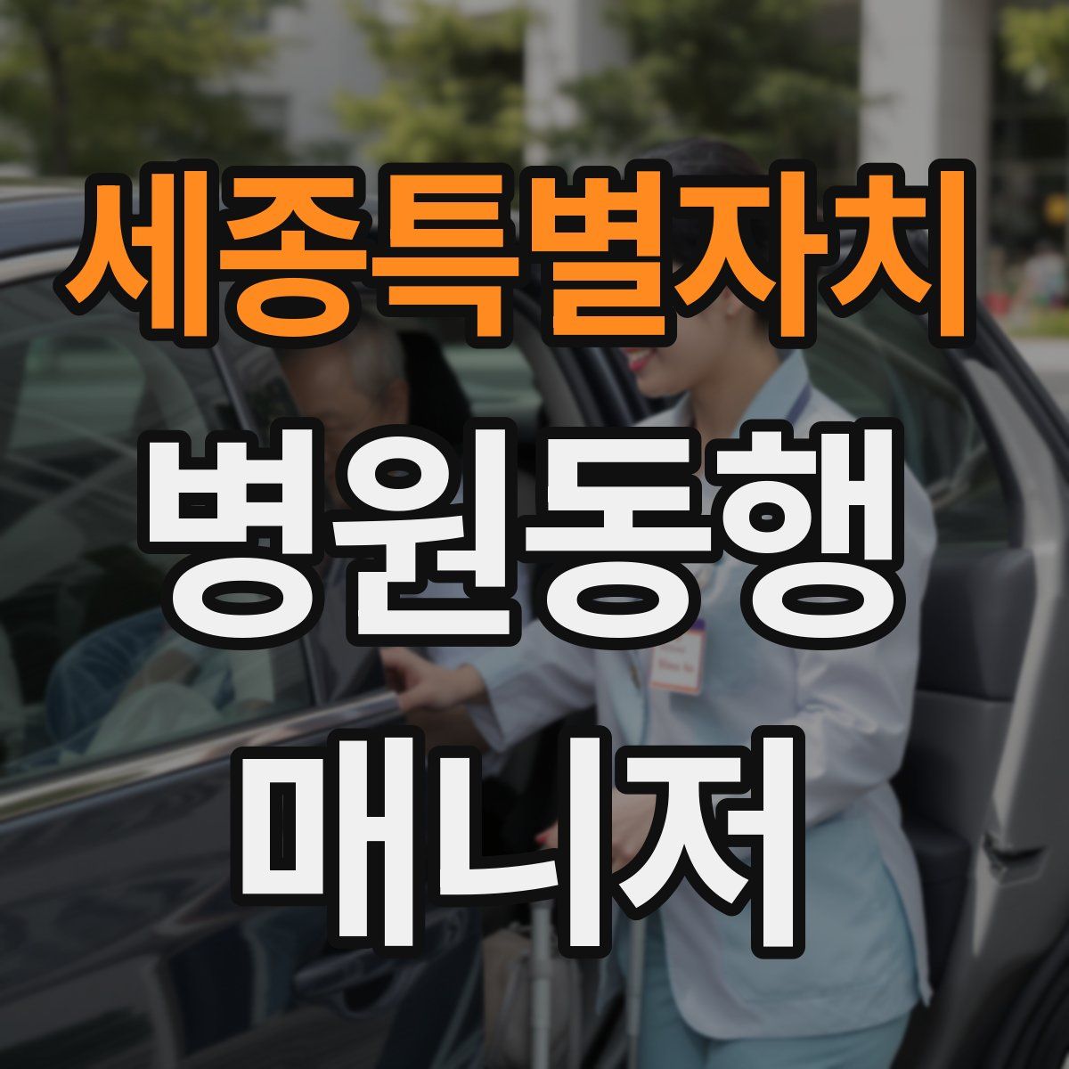 세종특별자치 병원동행매니저 자격증