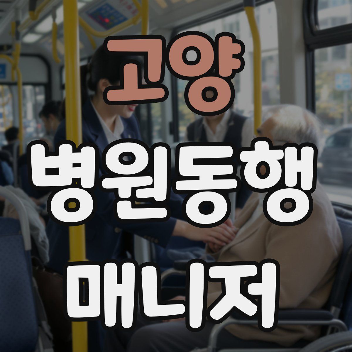 고양 병원동행매니저 자격증