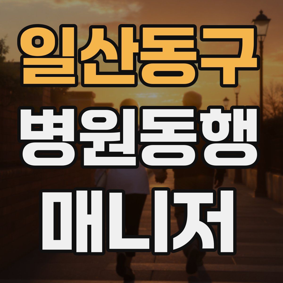 일산동구 병원동행매니저 자격증
