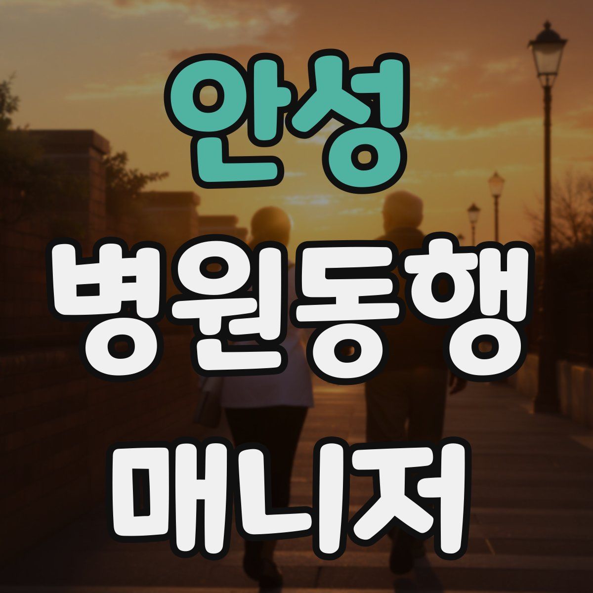 안성 병원동행매니저 자격증