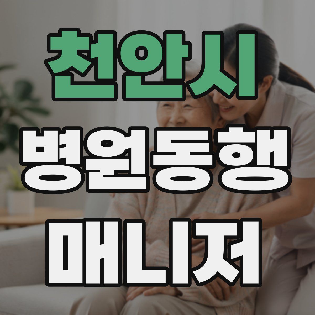 천안시 병원동행매니저 자격증