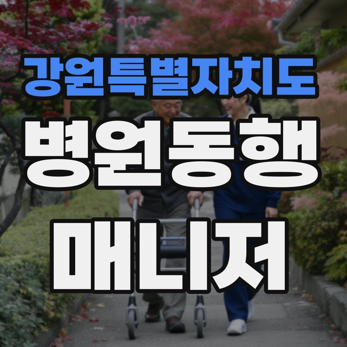 강원특별자치도 병원동행매니저 자격증 프로답게 보이는 준비 습관