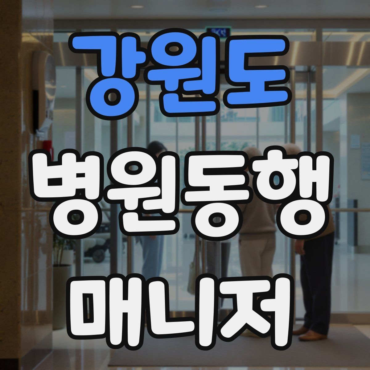 강원도 병원동행매니저 자격증 검사 동행과 진료 동행 차이