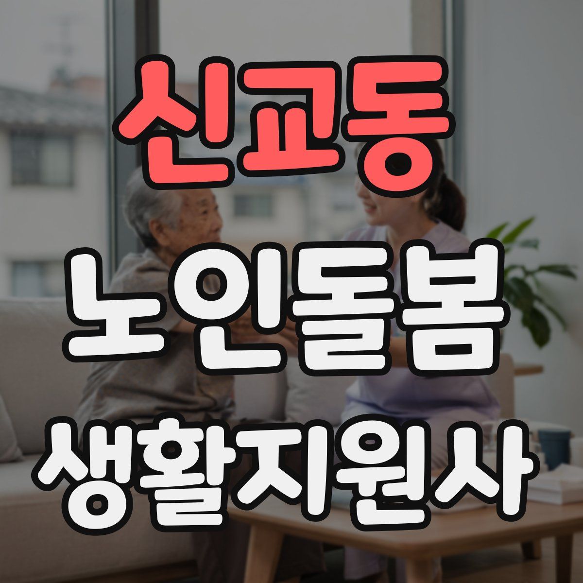 신교동 노인돌봄생활지원사 자격증