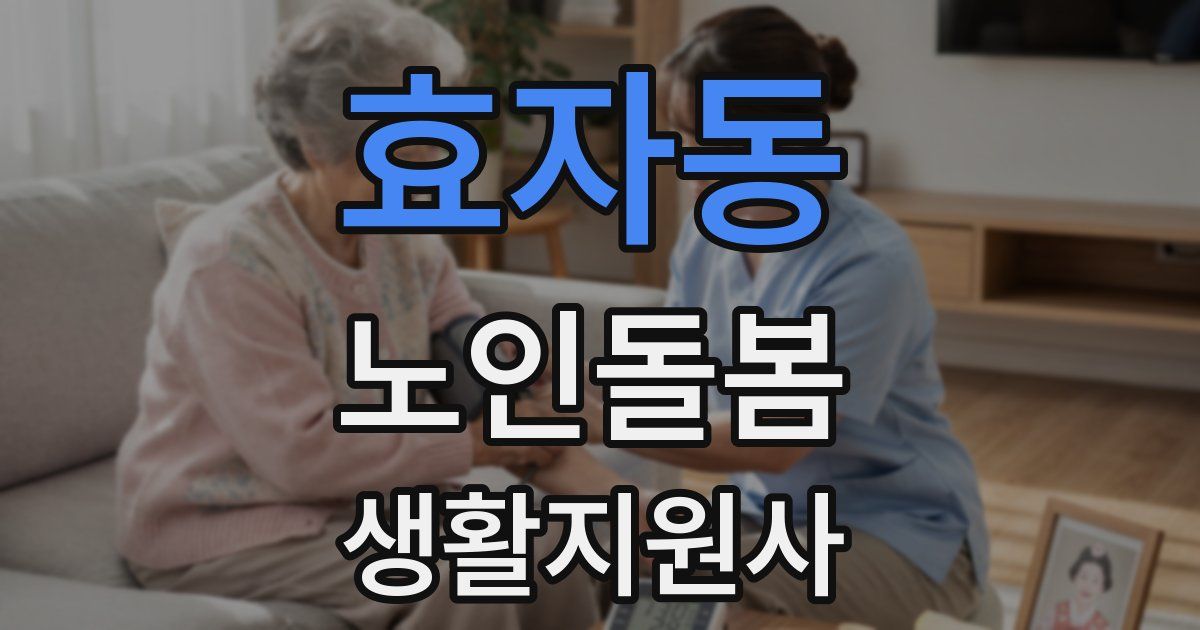 효자동 노인돌봄생활지원사 자격증