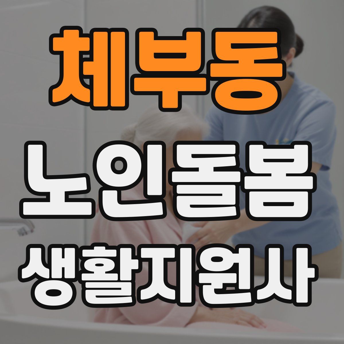 체부동 노인돌봄생활지원사 자격증